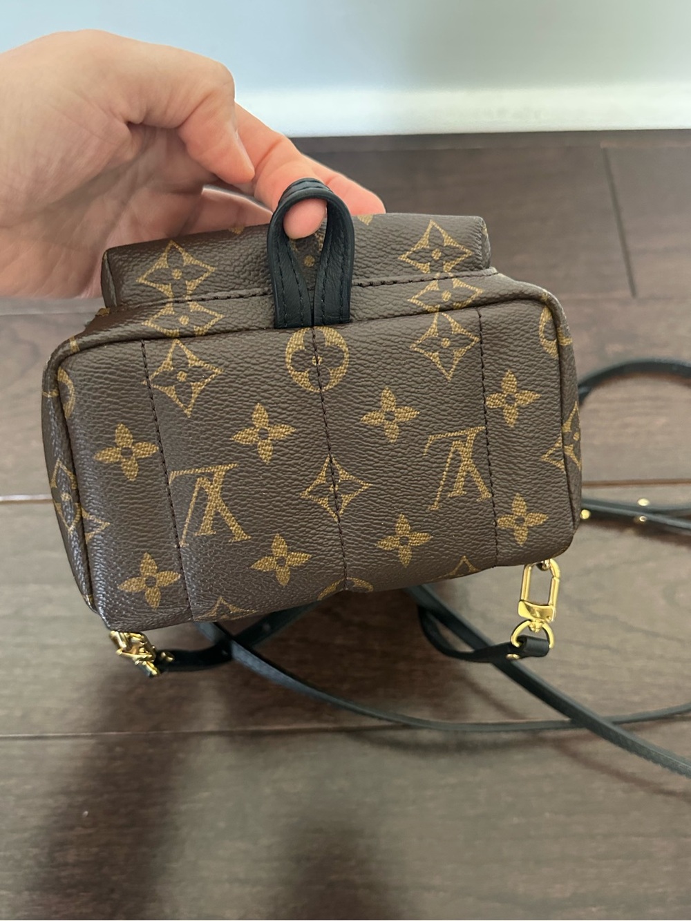 Louis Vuitton Palm Springs Mini Backpack - Picture 8 of 16